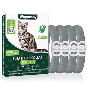 4 Pack Flea Collar for Cats, Cat Flea and Tick Treatment, 8 Months Protection Flea and Tick Prevention for Cats, Waterproof Cat Flea Collar, Adjustable Cat Flea and Tick Collar for Cats Kittens, Grey