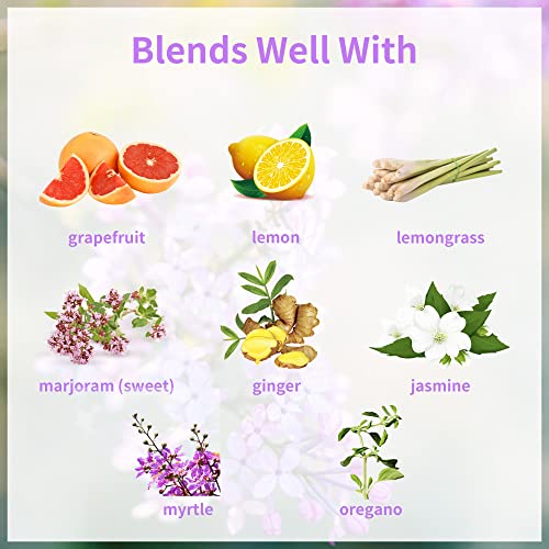 Clove Essential Oil Bundle With Clary Sage Essential Oil 100% Pure & Natural Clove Essential Oill For Diffuser, Skin, Hair, Candle Making, Soap Making -2Pcs 100Ml Fragrance Oil #TOP5