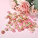 Styquenzer 72 Pcs Resin Strawberry Flat Back Charms Resin, Pink Strawberry Flat Backs Buttons Beads Bulk Embellishments for Scrapbooking Embellishment Hair Accessories DIY Craft Decor（3 Color）