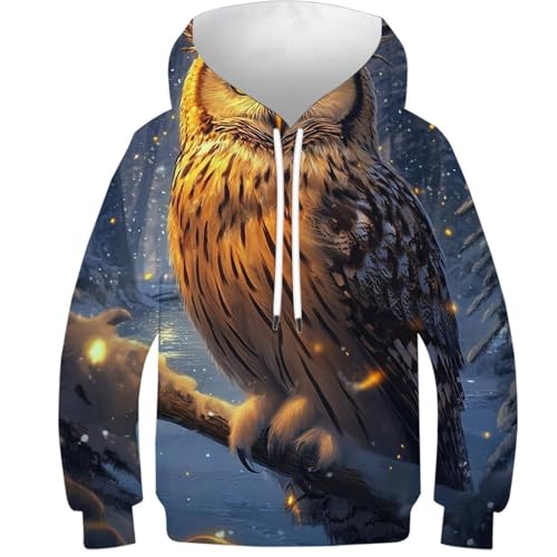 Sweat à Capuche imprimé 3D Hibou : Finis les Pulls d'Hiver Tristes pour Ados 12-14 Ans