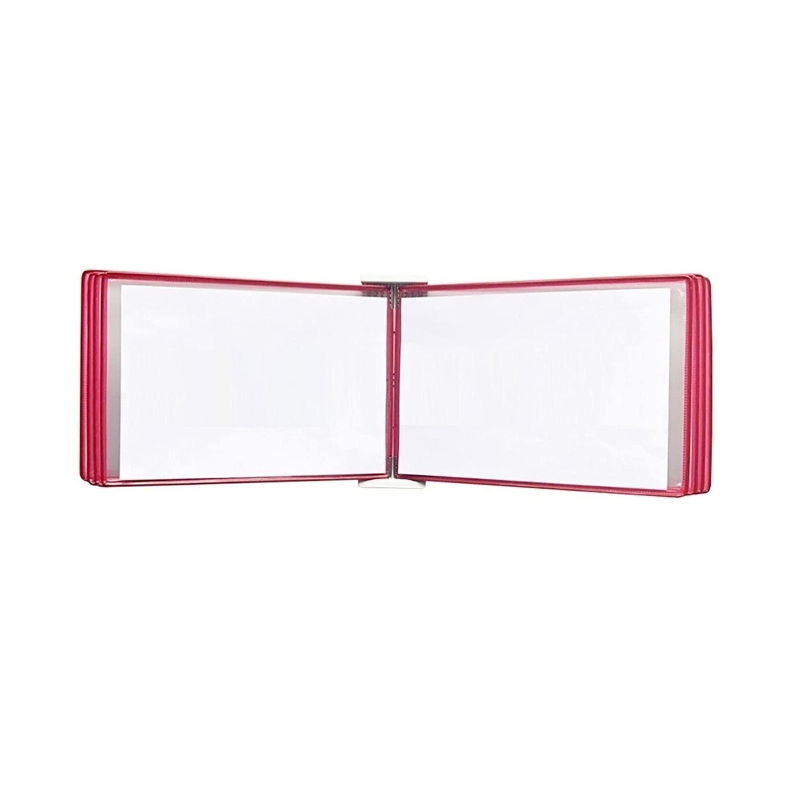 OLSKFUH Wall Mount Reference Display System, Hanging Wall File Organizer, A3 Display Folder -, [16.53Inch×11.69Inch] 20 Pockets,Folders,Red-17.7x13x3.15IN