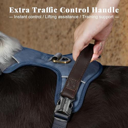 Image of Didog No Pull Dog Harness for Small Dogs, Classic PU Leather, Blue, S