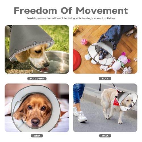 Image of Soft Dog Cone Collar After Surgery,Clear Padded Collar,E-Collars for Dogs to Prevent Licking Wound, Adjustable Dog Recovery Elizabethan Collar S