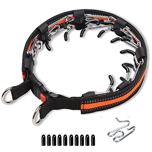 Pinch Collar For Dogs How To Put On at Jennifer John blog