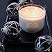 Soap & Paper Factory Roland Pine 18 oz Three-Wick Soy Candle