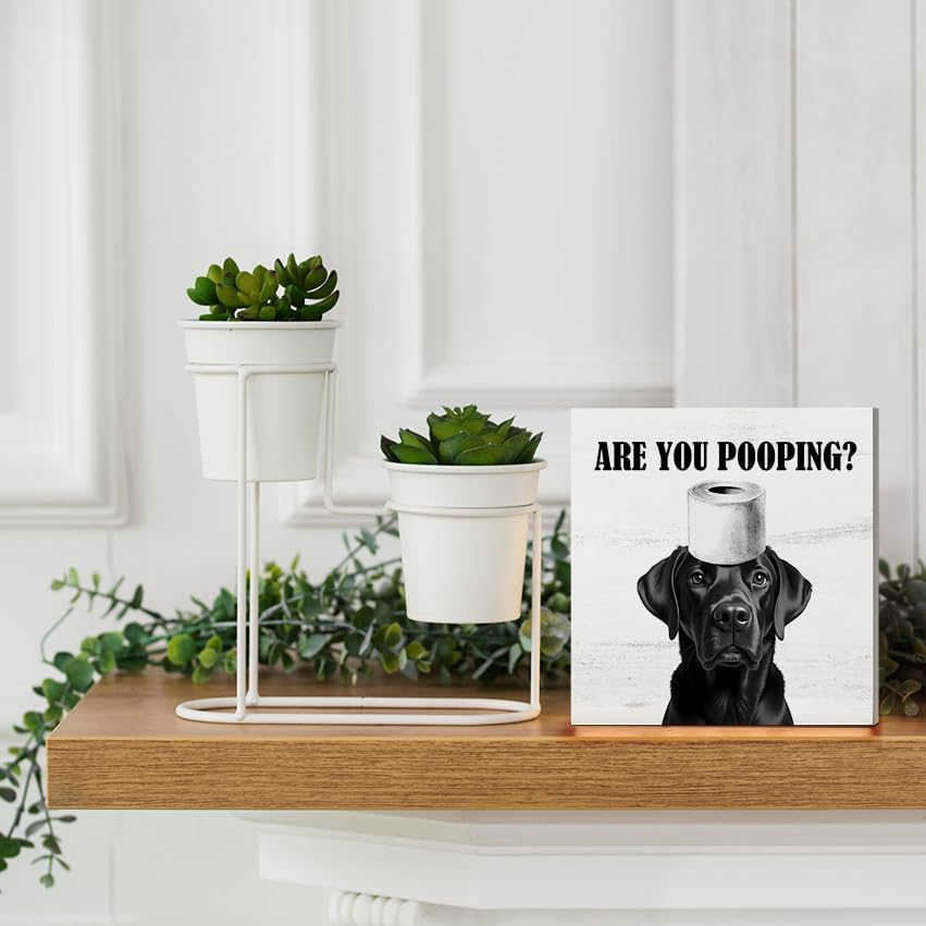 Funny Black Labrador Retriever Bathroom Wooden Box Sign, Are You Pooping Sign, Black Lab Labrador Gifts Wood Signs for Bathroom Restroom Toilet Half Bath Shelf Counter Decor, 5x5 Inch - Image 6