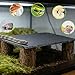 BingegePet Reptile Tank Accessories, Slate Basking Platform with Wooden Pile, Snake Hideout, Hide Cave for Bearded Dragons, Geckos, Ball Pythons, Tortoise and Other Small Animals