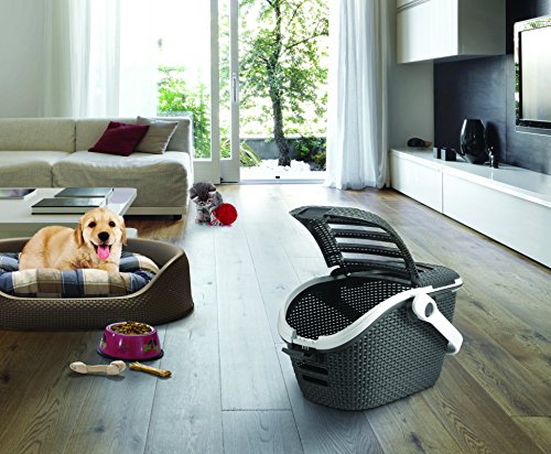 Curver Transportbox L: 51 cm B: 38 cm H: 33 cm anthrazit