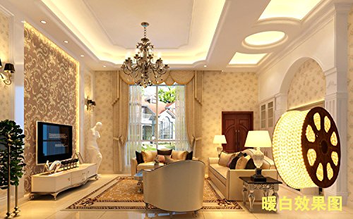 STRISCIA BOBINA LED 100 MT METRI IMPERMEABILE MONOLED DA ESTERNO INTERNO ALIMENTATORE INCLUSO LUCE BIANCA FREDDA BIANCO FREDDO ADDOBBI ESTERNI NATALIZI