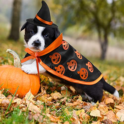 Disfraz Halloween para mascotas pequeño conjunto 5 piezas miniatura 5