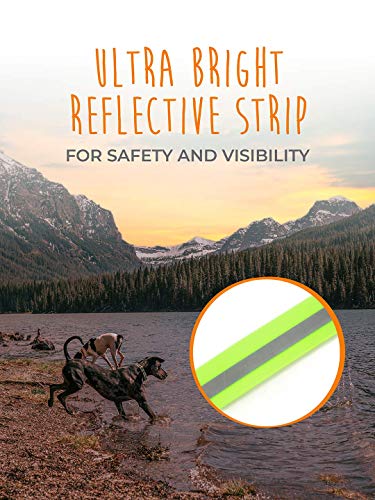 Mighty Paw Waterproof Dog Collar, Smell-Proof Active Dog Gear, Coated Nylon Webbing With Reflective Stripe. (Green, Large) #TOP6