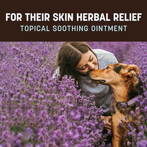 Earth Animal Herbal Remedies | Skin and Paw Soother | 2 fl oz Earth Animal Herbal Remedies | Skin and Paw Soother | 2 fl oz