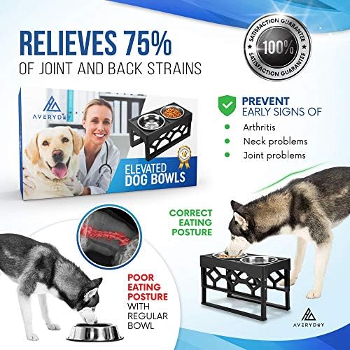 wire haired piebald dachshund