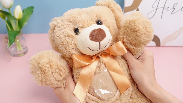 Amazon.com: Silipull Christmas 12 Inch Bear with Voice Recording