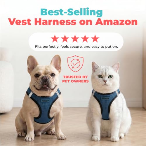 Image of Voyager Step-in Air Dog Vest Harness - Blue /Black Trim, X-Small | 13 - 14.5 inch in Chest, Reflective Bands, All Weather Breathable Air Mesh, Cats Compatible, Lightweight, Fast Drying