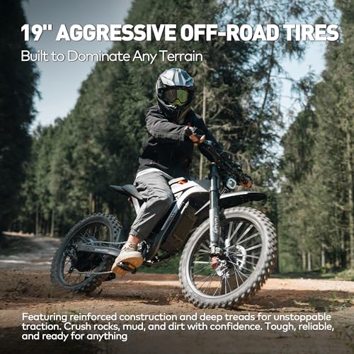 COSWHEEL R19 9000W Electric Dirt Bike