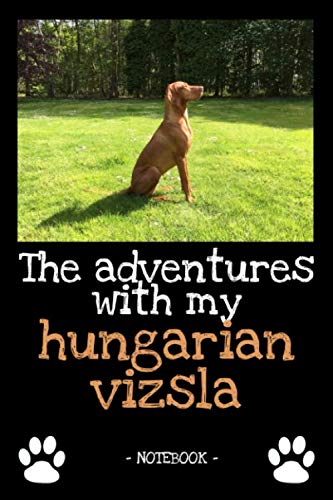 The adventures with my hungarian vizsla: dog owner