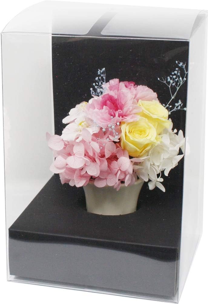 A&K MF-10 Preserved Flower Gift with Vase Arrangement Mignon Made in Japan