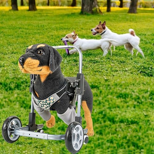 Silla de ruedas para perros con patas delanteras ayuda para caminar Talla S ajustable 5