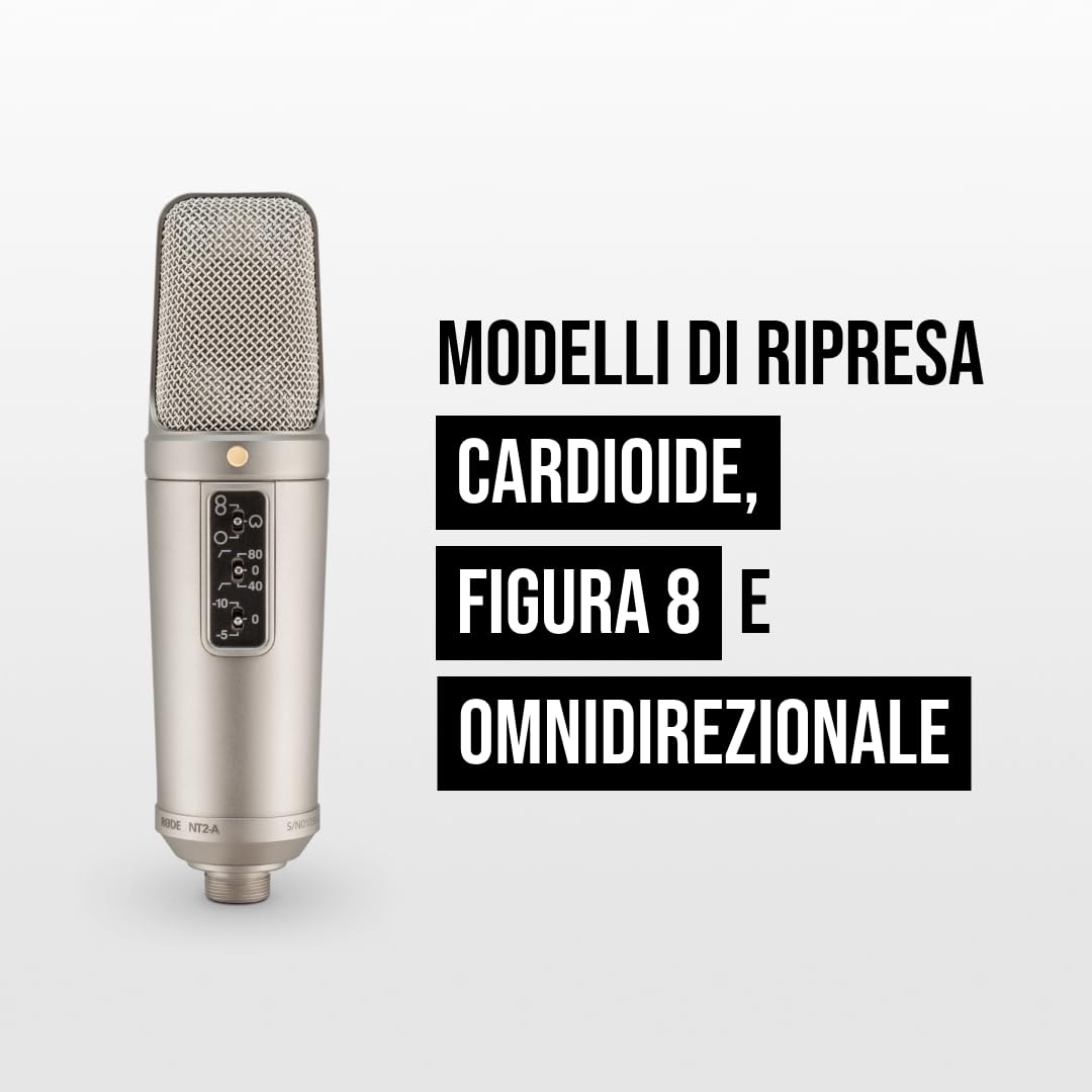 RØDE NT2-A Microfono a Condensatore Versatile a Grande Diaframma con Modello Polare Commutabile, Pad e Filtro Passa-Alto per Registrazione Vocale e di Strumenti