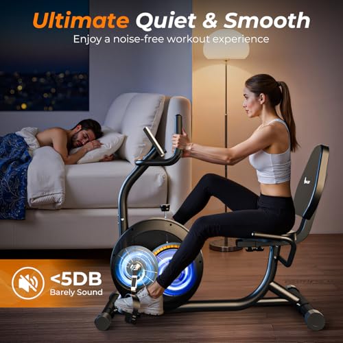 Image of OWLSKY Recumbent Exercise Bike for Home Gym, Magnetic Stationary Bike with 16-Level Resistance, Quiet 15LBS Flywheel, 300LBS Capacity, Low-Impact Cardio & Physical Therapy