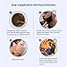 Indus Valley 100% botanical Hypo Allergic Beard Color for Men (Dark Brown) Beard Dye For Men Dark Brown, Men's Natural Beard Hair Coloring Kit, Amonia & PPD Free Made up of 8 Organic Ingredients