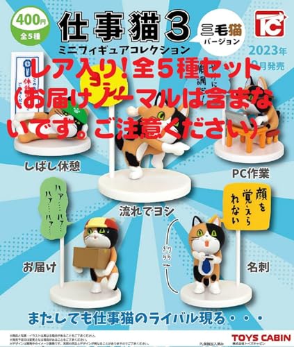 dL~jtBMARNV3 OєLo[W AS5ރZbg K`K` JvZgC