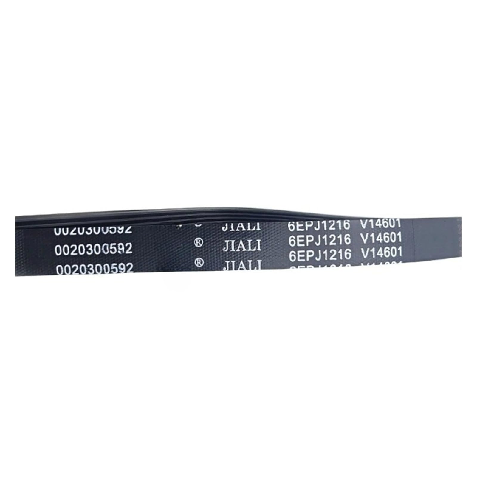 Courroie 6EPJ1216 pour tambour de machine à laver Haier