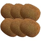 STOBAZA 6 Stück Künstliche Kiwi Früchte Realistische Fotografie Requisiten für Dekoration Obstladen und Bildungsspielzeuge Lebensnahe Fruchtmodelle für Kreative Sommerideen