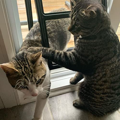 Namsan Pet Screen Door Dog Door For Sliding Door 12X16 Inches Doggy Door For Sliding Door Magnetic Close Cat Door Window Porch, Large, Black #TOP5