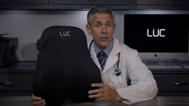 Amazon.com: LÜC Lumbar Support Pillow for Office Chair & Car