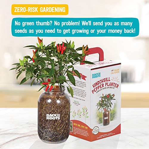 Back To The Roots Non-Gmo Chili Planter, Grow Organic Chili Peppers Year Round, Windowsill Grow Kit, Top Gardening Gift, Holiday Gift, & Unique Gift #TOP5