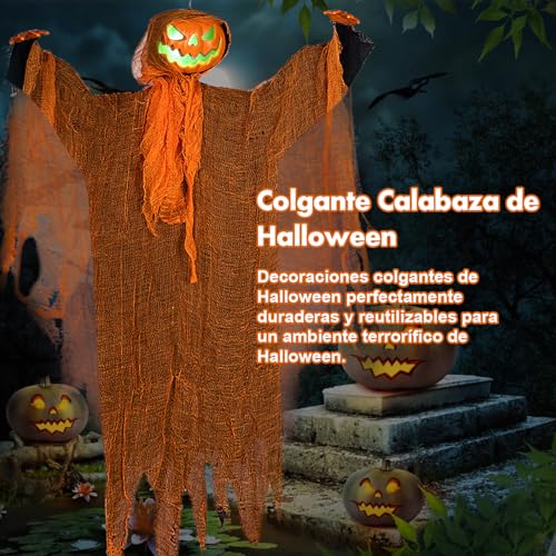 Moda y Accesorios, DVD Imagen adicional