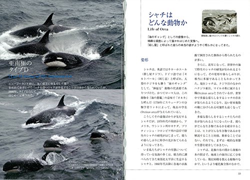Amazon.com: 水口 博也: books, biography, latest update