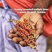 Diaspora Spice Co. Aranya Black Pepper | Single-Origin Whole Black Peppercorns for Grinder Refill | Fresh & Hand-Harvested | 53g Everyday Tin