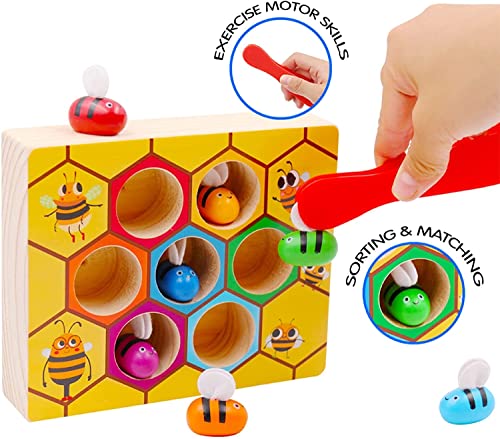 Image of HAPPY HUES Sorting & Stacking Toy- Skills Enhancement Motor Skill Toys for Toddlers /Kid -Magnetic- Capture The Worms Toys | Early Educational-Montessori Toy (Beehive)