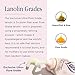 Lanolips Tinted Lip Balm - Moisturizing, Color-Tinted Balm with Lanolin & Vitamin E for Dull, Dry, Cracked Lips, Perfect Nude (12.5g / 0.44oz)
