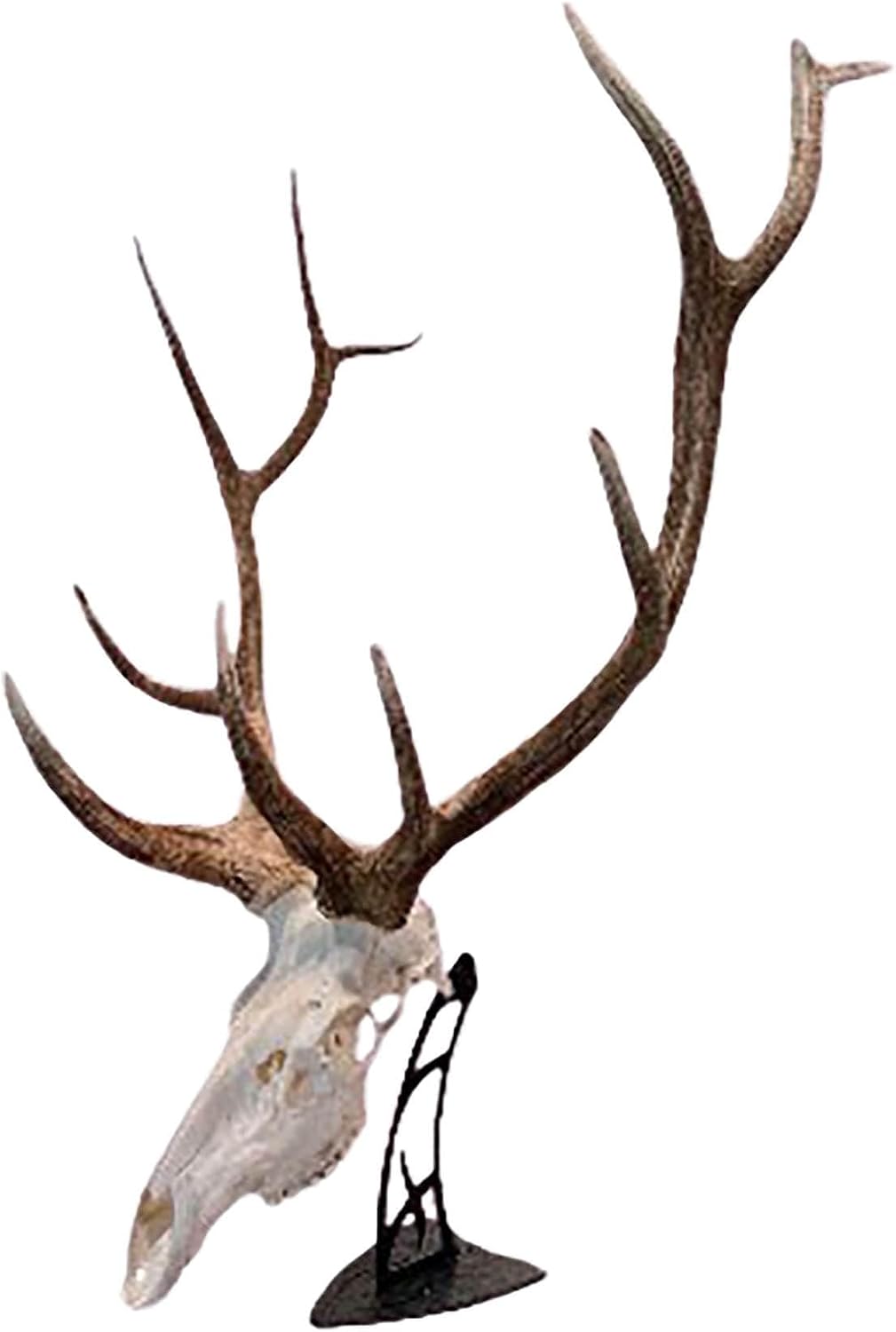 Skull Hooker Big Table Hooker – Black Textured Finish Tabletop Trophy Mount for Large European Skull Display