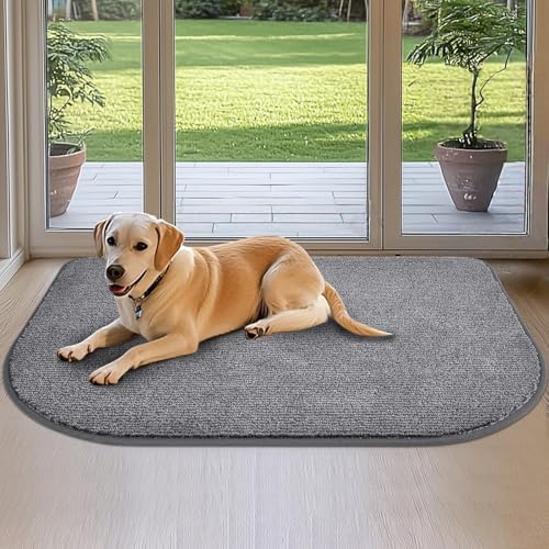 DOMUSTEX Schmutzfangmatte Innen, Waschbar Fußmatte, Eingangsteppich, rutschfeste Fussmatte, Teppich für Badezimmer, Küche, Schlafzimmer, Flur