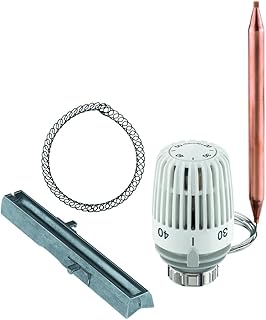 TA Heimeier Thermostat Head with Wärmeleitsockel and hairspring 6402–00,500 2 M