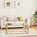 HOOBRO Glass Coffee Table, Gold Coffee Tables for Living Room, Gold Glass Coffee Table,1 Layer Center Table, Modern, for Apartment, Office, 39.4 x 19.7 x 17.7 Inches, Easy Assembly, Golden GD04KF01