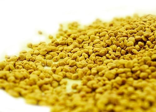 500g Zhu Huang Shiraia Bambusicola whole part for sale from china