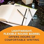 BIC Round Stic Writing Ballpoint Pens