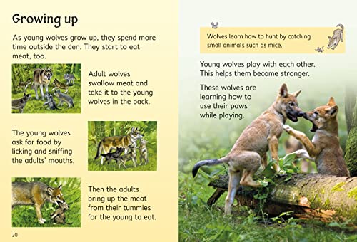 Wolves (Usborne Beginners) (Beginners Series) - Image 4