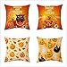 Copricuscini in Velluto Set di 4 Halloween Bifacciale Fodera per Cuscini Divano Cuscino per Soggiorno Camera da Letto Decorazione per la Casa Cuscino Copricuscini 2221D 35x35cm/14x14inch