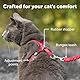 PetSafe Come with Me Kitty Geschirr und Bungee Katzenleine, Größe M, Lila
