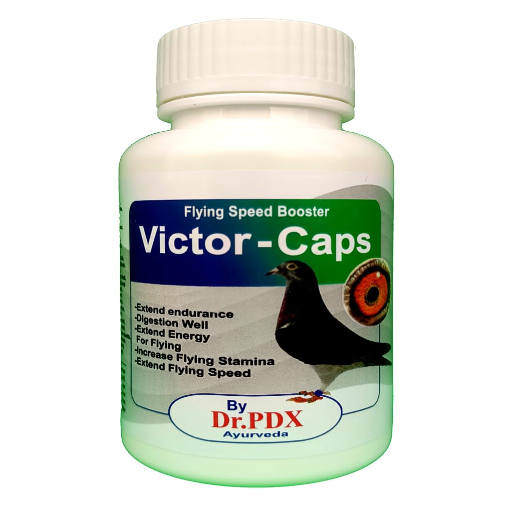 Pigeon Flying Speed Stamina Enhancer Victor Caps || Flying Speed Booster for Pigeons || Not a Drug (25. Capsule) (B0CRH9YHSM) Amazon Price History, Amazon Price Tracker