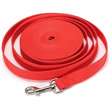 5FT/1.5M Long Leash Dog Obedience Recall Training Agility Lead for Training Play Camping or Backyard Red