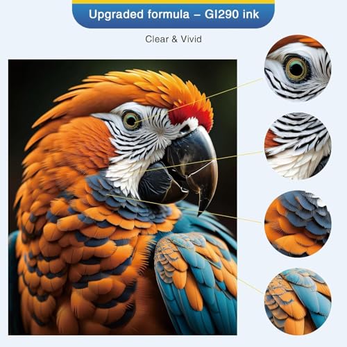 Image of KOSH GI-790 Refill Ink Compatible for Canon G Series G1000 G1010 G2000 G2002 G2010 G2012 G3000 Printers (4, Black Cyan Magenta Yellow)