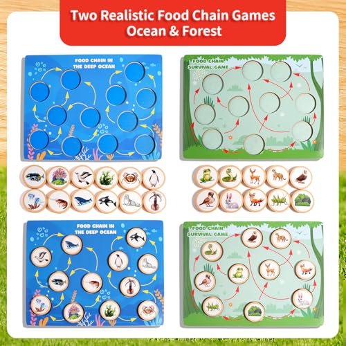 INIFEIDALA Montessori Wooden Preschool Learning Educational Toys Set for Toddlers 3-6,Life Cycle Puzzle, Shape Sorting Matching Game & Ecosystem Science Center – STEM Sensory Gifts for Boys & Girls - Image 7